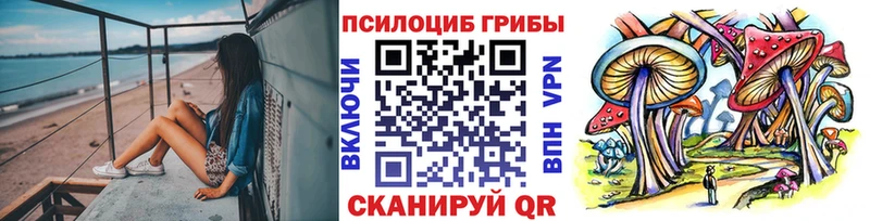 даркнет сайт МЕГА ссылка Псилоцибиновые грибы Magic Shrooms Кемь